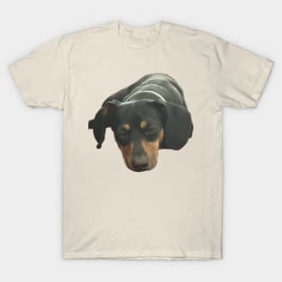 Sleepy Puppy T-Shirt